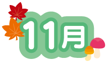 11月